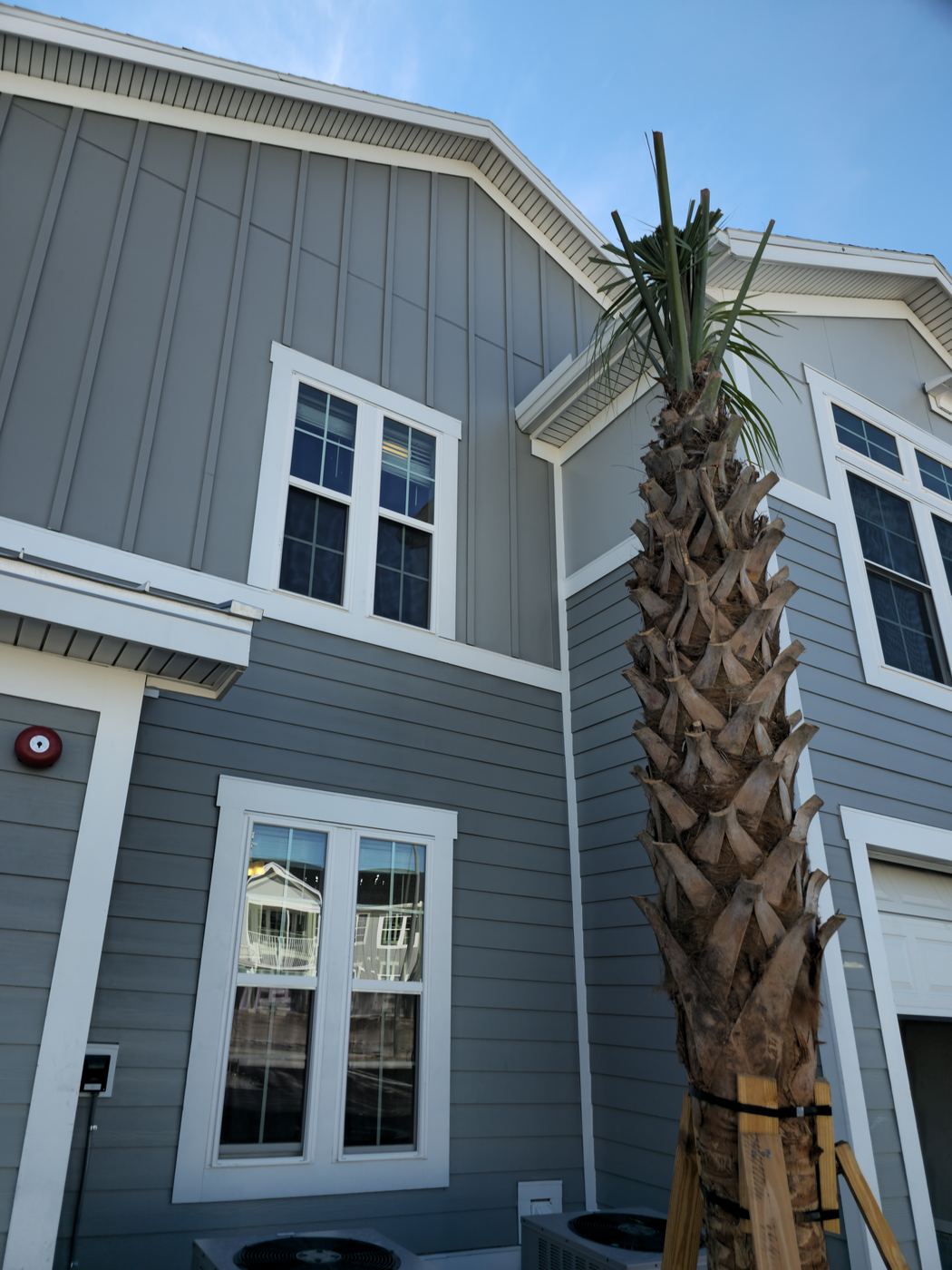 Gray fiber-cement siding with white window trim